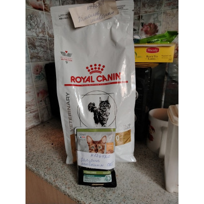 ПЕРЕДАЧА ПОДАРКОВ (27.06-24.07) В Возьми, не покупай! Помощь животным СПб