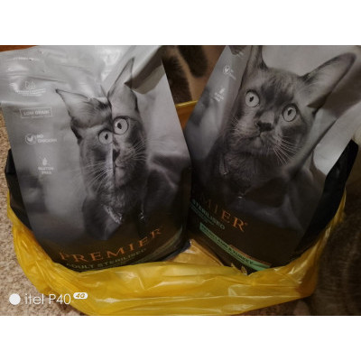 ПЕРЕДАЧА ПОДАРКОВ (01-07.08) В Приют "Кошачья Санатория"