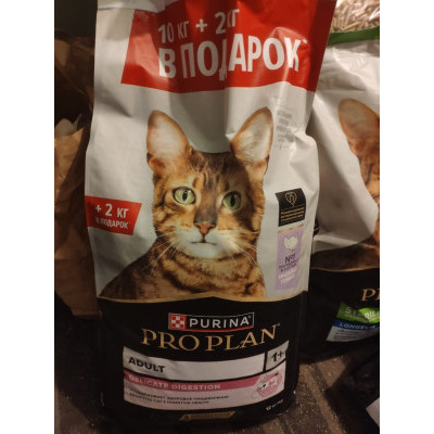 ПЕРЕДАЧА ПОДАРКОВ (05-18.09) В Приют "Кошки Северной Пальмиры" (бывший "HelpCats")