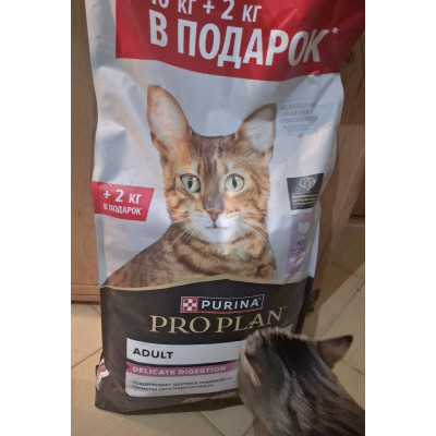 ПЕРЕДАЧА ПОДАРКОВ (05-18.09) В Приют "Ластик и его друзья"
