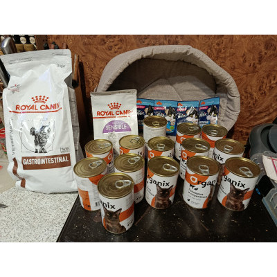 ПЕРЕДАЧА ПОДАРКОВ (23 - 29.01) В Adoption центр для кошек "Муркоша" (Москва)