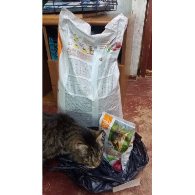 ПЕРЕДАЧА ПОДАРКОВ (26.03 - 01.04) В Группа помощи Streetcats911