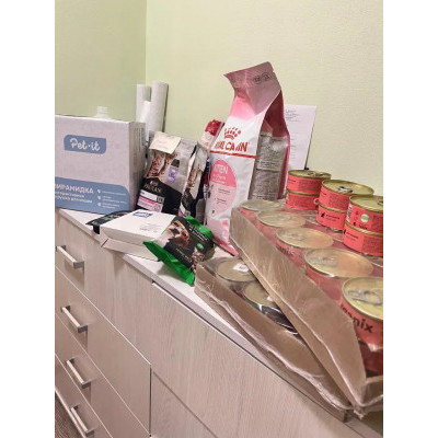 ПЕРЕДАЧА ПОДАРКОВ (02- 09.04) В БФ Полюби бездомного котёнка ПЕРЕДАЧА ПОДАРКОВ (02- 09.04) В БФ Полюби бездомного котёнка