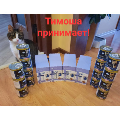 ПЕРЕДАЧА ПОДАРКОВ (02- 09.04) В Мини-приют для кошек "Мишенька"