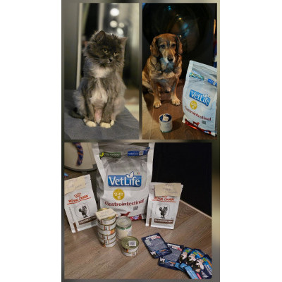 ПЕРЕДАЧА ПОДАРКОВ (17- 23.04) В Группа помощи животным "Право Жить"