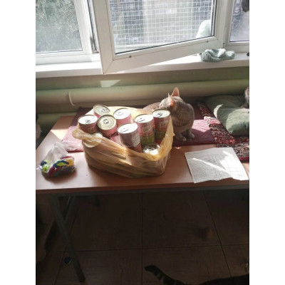ПЕРЕДАЧА ПОДАРКОВ (03 - 09.07) В Мини-приют для кошек "Нас предали!" 