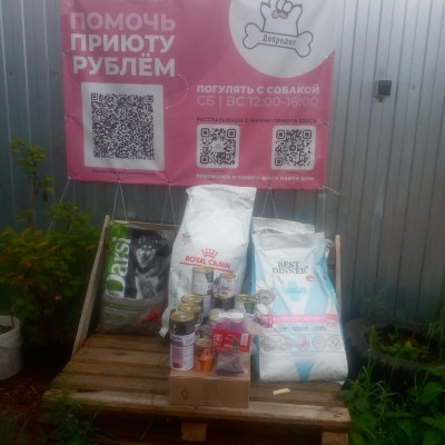 ПЕРЕДАЧА ПОДАРКОВ (03 - 09.07) В Приют "Добродог"
