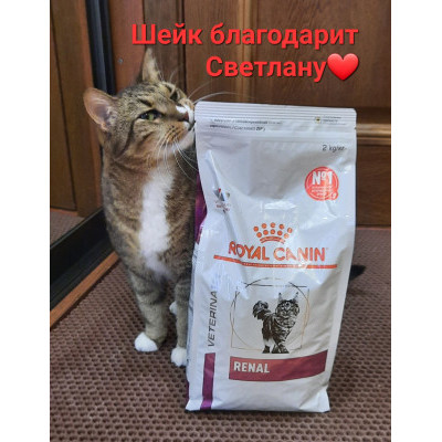 ПЕРЕДАЧА ПОДАРКОВ (10-07 - 04.08) В Мини-приют для кошек "Мишенька"