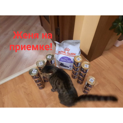 ПЕРЕДАЧА ПОДАРКОВ (02 - 08.10) В Мини-приют для кошек "Мишенька"