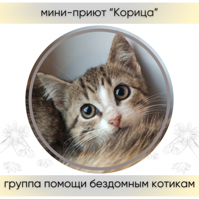 Мини-приют "Корица" Мини-приют "Корица"
