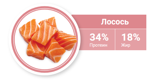 1st CHOICE Grain Free DERMA Сухой корм для взрослых кошек с гиперчувствительной кожей, лосось 1st CHOICE Grain Free DERMA Сухой корм для взрослых кошек с гиперчувствительной кожей, лосось