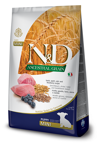 FARMINA N&D ANCESTRAL GRAIN PUPPY Mini - Фармина низкозерновой корм для щенков мелких пород ягненок, спельта, овёс и черника FARMINA N&D ANCESTRAL GRAIN PUPPY Mini - Фармина низкозерновой корм для щенков мелких пород ягненок, спельта, овёс и черника