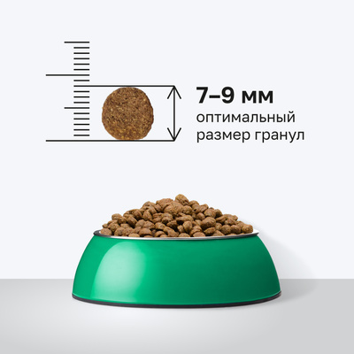 Organix полнорационный сухой корм для стерилизованных кошек с индейкой, фруктами и овощами Organix полнорационный сухой корм для стерилизованных кошек с индейкой, фруктами и овощами