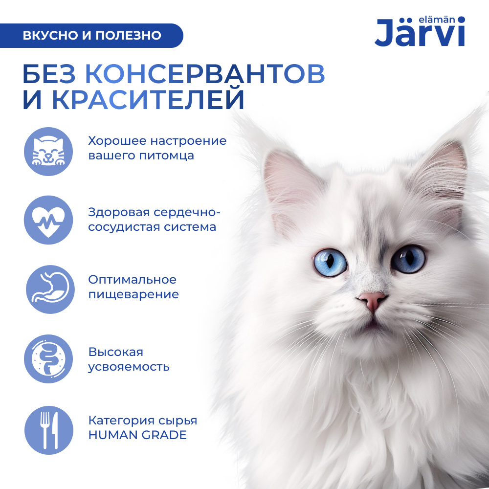 Jarvi Ярви Паштет с форелью для кошек с чувствительным пищеварением Jarvi Ярви Паштет с форелью для кошек с чувствительным пищеварением