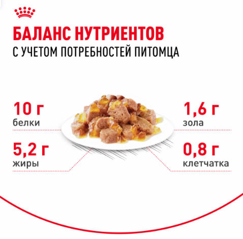 Royal Canin AGEING 12+ - Роял Канин паучи для кошек старше 12 лет, кусочки в желе, 85 гр Royal Canin AGEING 12+ - Роял Канин паучи для кошек старше 12 лет, кусочки в желе, 85 гр