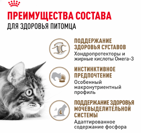 Royal Canin AGEING 12+ - Роял Канин паучи для кошек старше 12 лет, кусочки в желе, 85 гр Royal Canin AGEING 12+ - Роял Канин паучи для кошек старше 12 лет, кусочки в желе, 85 гр