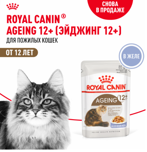 Royal Canin AGEING 12+ - Роял Канин паучи для кошек старше 12 лет, кусочки в желе, 85 гр Royal Canin AGEING 12+ - Роял Канин паучи для кошек старше 12 лет, кусочки в желе, 85 гр