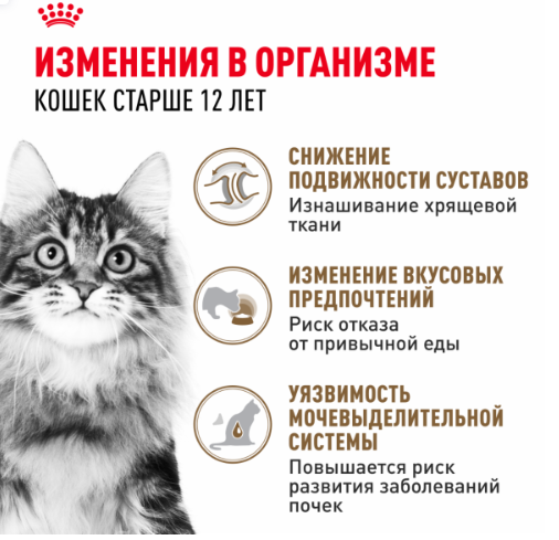 Royal Canin AGEING 12+ - Роял Канин паучи для кошек старше 12 лет, кусочки в желе, 85 гр Royal Canin AGEING 12+ - Роял Канин паучи для кошек старше 12 лет, кусочки в желе, 85 гр